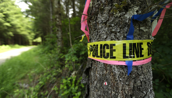 Ελβετία: Νεκρή Στο Δάσος Βρέθηκε 6χρονη Που Είχε Εξαφανιστεί