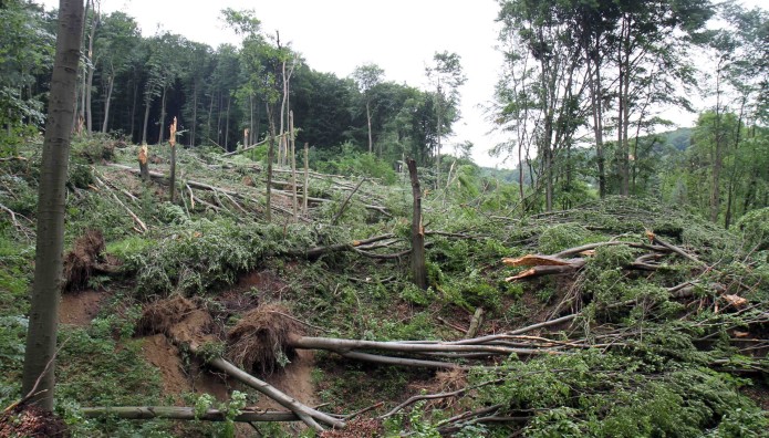Αυστρία: 5χρονος Θάφτηκε Ζωντανός Σε Κατολίσθηση