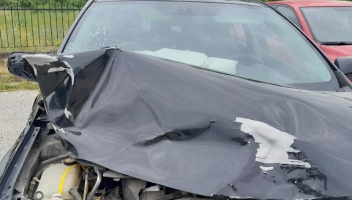 αυτοκίνητο σύγκρουση με αρκούδα