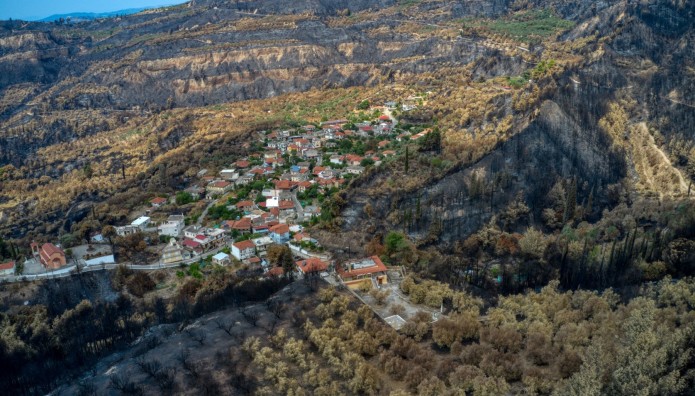 σπίτια δάσος
