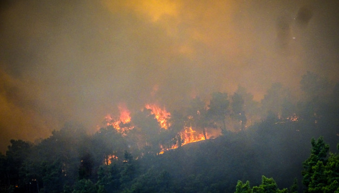 Φωτιά Σήμερα Στο Σουφλί Στον Έβρο