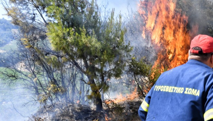 φωτιά δάσος