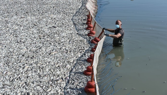 Βόλος περισυλλογή ψαριών