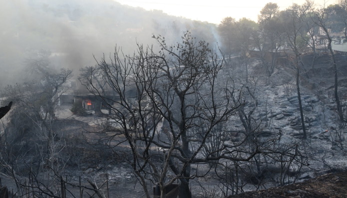 Copernicus: 33% Μειωμένες Οι Καμένες Εκτάσεις Στην Ελλάδα