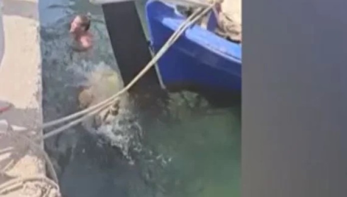 Καρέτα καρέτα επιτέθηκε σε πρωταγωνιστή… ερωτικών ταινιών