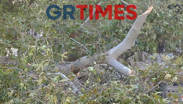 Θεσσαλονίκη: Νεκρός Άνδρας Που Καταπλακώθηκε Από Δέντρο