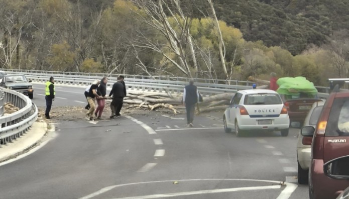 Λάρισα: Κατάρρευση Δέντρου Στην Παλιά Εθνική Οδό