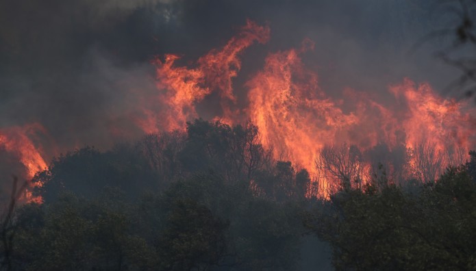 Σάμος: Φωτιά Τώρα Στο Ακρωτήριο Πράσο