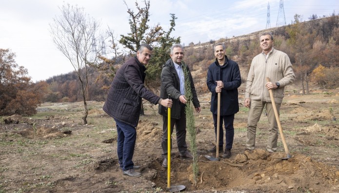 Nova: Ξεκίνησε Την Αναδάσωση Της Ιεράς Μονής Πεντέλης