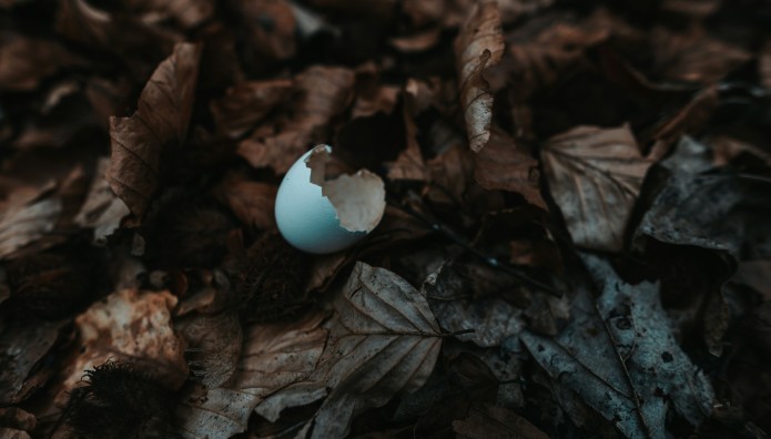 Ποιο είναι το πιο θανατηφόρο φαγητό στον κόσμο