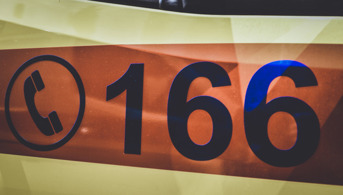 Βόλος: Σκύλος Δάγκωσε Στο Πρόσωπο Βρέφος 9 Μηνών