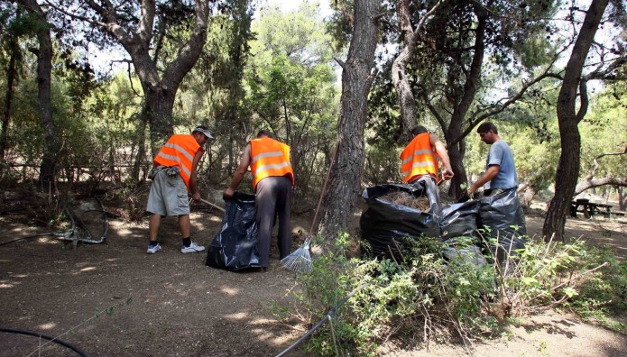 καθαρισμός οικοπέδων