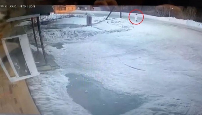 Αρκούδες Κατασπάραξαν Γυναίκα - Βρέθηκε Μόνο Το Κεφάλι Της