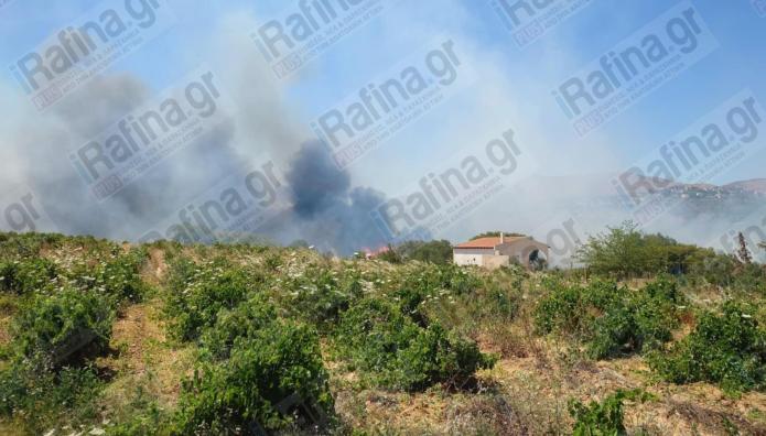 Φωτιά Τώρα Στη Ραφήνα - Νέος Συναγερμός Στην Πυροσβεστική