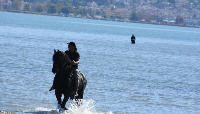 Θάσος: Αφηνιασμένο Άλογο Τραυμάτισε 5χρονη