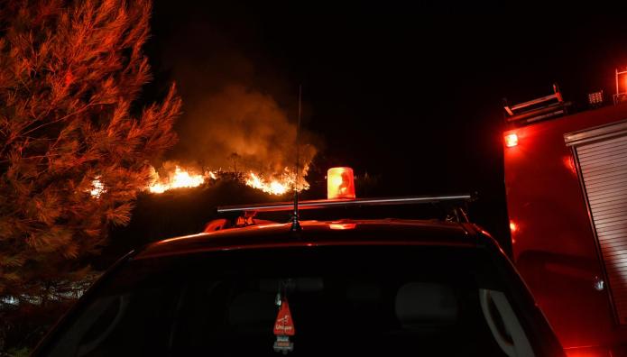 Ηλεία: Φωτιά Στο Γεράκι Αμαλιάδας