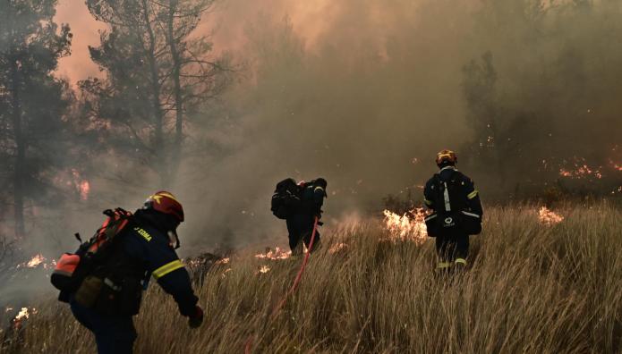 Φωτιά Τώρα Στη Ροδόπη - Σηκώθηκαν Εναέρια Μέσα