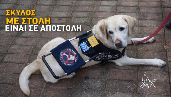 Σκύλοι Οδηγοί Ατόμων με Αναπηρία Όρασης: Νέα Καμπάνια