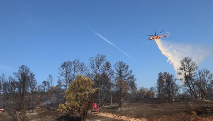 Φωτιά στο Σύδενδρο Γρεβενών - Μήνυμα του 112 για ετοιμότητα