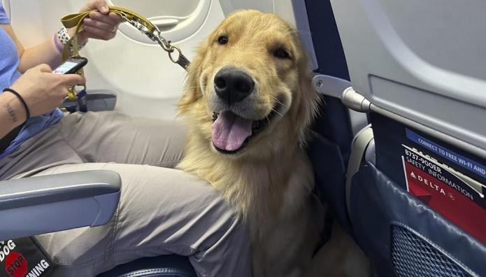 Σκυλί αεροπλάνο