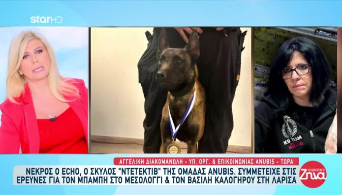 Δηλητηρίασαν Τον Echo Τον Σκύλο Έρευνας Και Διάσωσης