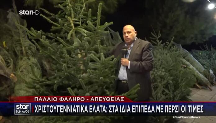Χριστουγεννιάτικα έλατα: Ποιες είναι οι τιμές φέτος;