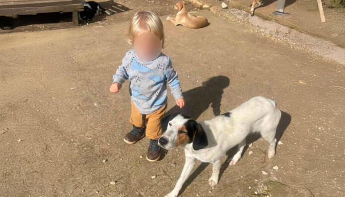 Ζάκυνθος: Δεν Έβγαζε Τα Δόντια Του Από Το Παιδί