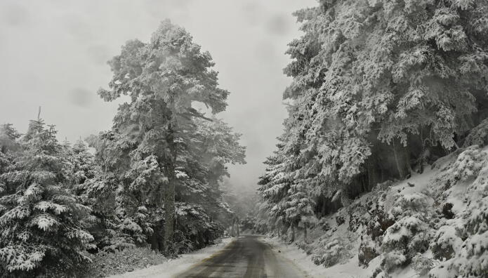 Καιρός: Πολικό ψύχος & χιόνια σε όλη την Ελλάδα