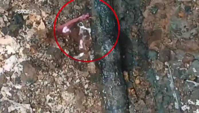 Βιολάντα: Φωτογραφία Ντοκουμέντο Από Τη Διαρροή Στον Σωλήνα