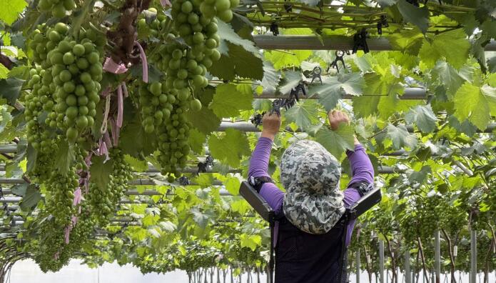 Hyundai: Έφτιαξε ρομποτικό γιλέκο για τους αγρότες