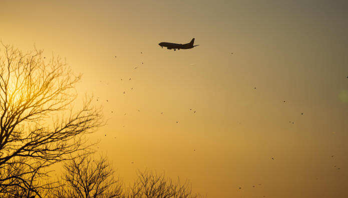 Ιράν: Ακυρώσεις Πτήσεων Από Αεροπορικές Εταιρείες