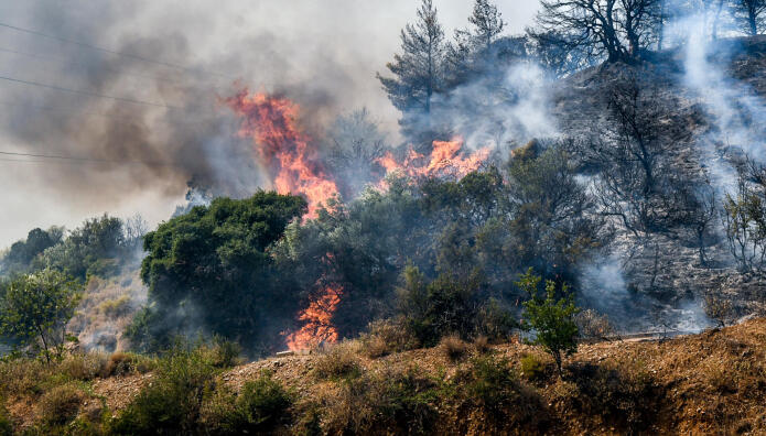 Φωτιά Τώρα Στην Κεφαλονιά - Ισχυρές Δυνάμεις Στο Σημείο