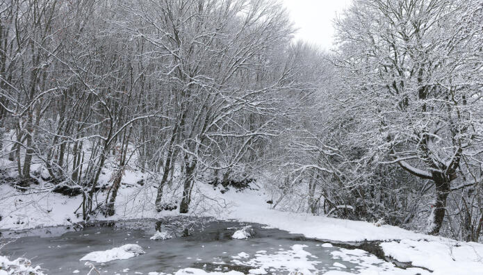Καιρός: Ξεκινά Η Σιβηρική Εισβολή Με Κρύο Και Χιόνια