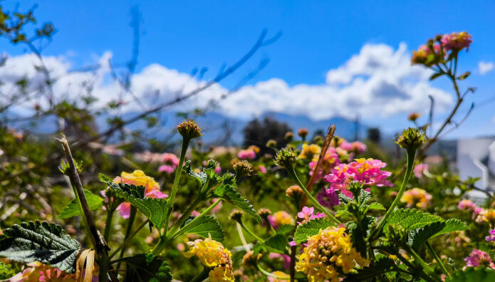 Καιρός: Σχεδόν αίθριος σε όλη τη χώρα- Υποχωρούν σκόνη και βοριάδες