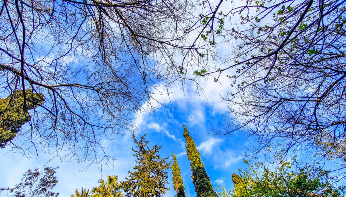 Καιρός: Βροχές Στη Μισή Χώρα, Καλοκαίρι Στην Άλλη Μισή