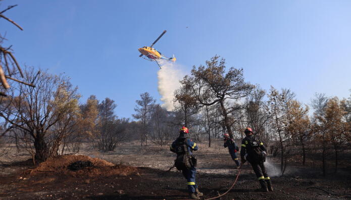 Δασικές Πυρκαγιές