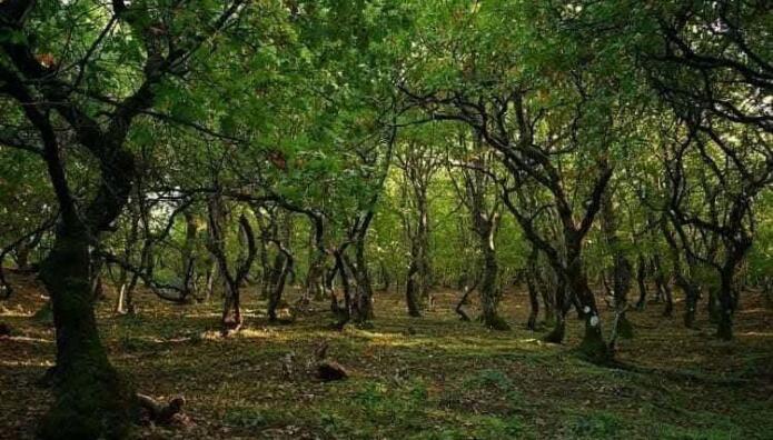 Ipsilantis Trail στις πλαγιές του Ελικώνα