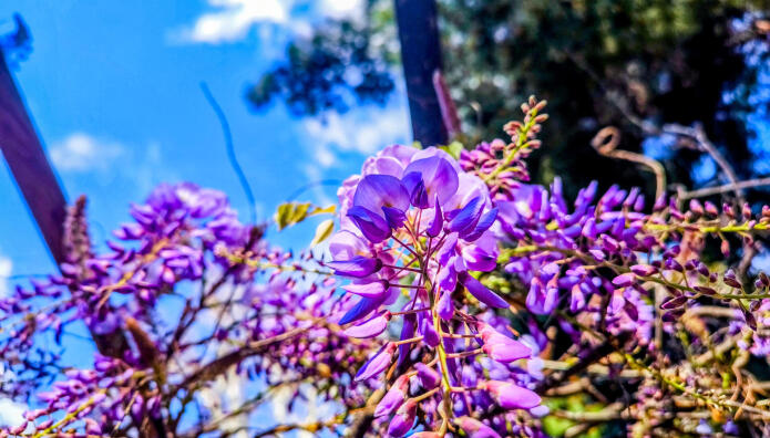 Καιρός: Άνοιξη Πριν Το... Κρύο Της Πρωτομαγιάς