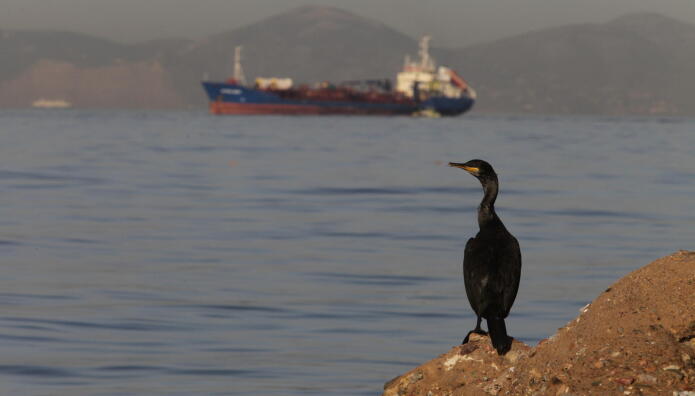 Αυτή Είναι Η Επικρατέστερη Αιτία Της Οσμής Στην Αττική