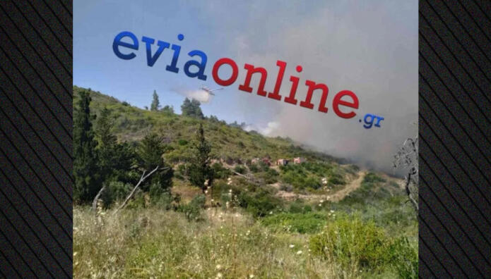 Φωτιά στην Εύβοια: Μεγάλη κινητοποίηση στο Σπαθάρι με 11 εναέρια