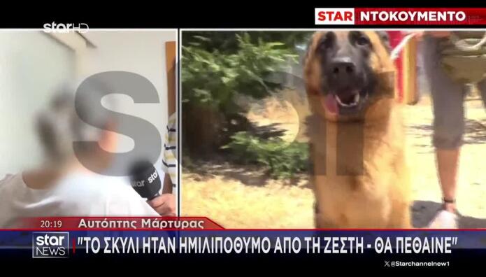 Βάρη: Αστυνομικοί Έσπασαν Αυτοκίνητο Για Να Σώσουν Λυκόσκυλο