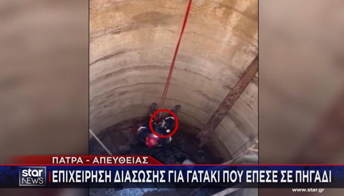 Πάτρα - γατάκι διάσωση από πηγάδι