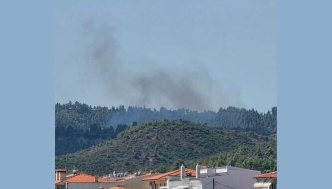 Φωτιά στη Μόλα Καλύβα Χαλκιδικής – Ισχυρές δυνάμεις στο σημείο