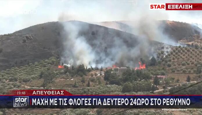 Ρέθυμνο: Στάχτη Το 80% Του Φοινικόδασους Της Πρέβελης