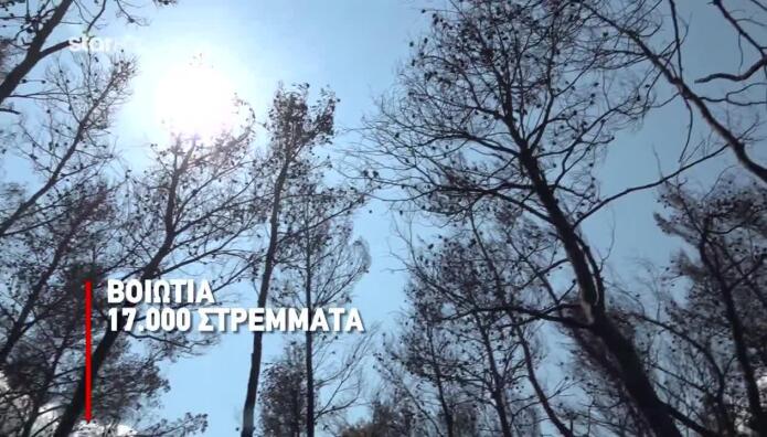 Φωτιές: Στάχτη Το Πράσινο Στολίδι Της Δυτικής Αττικής