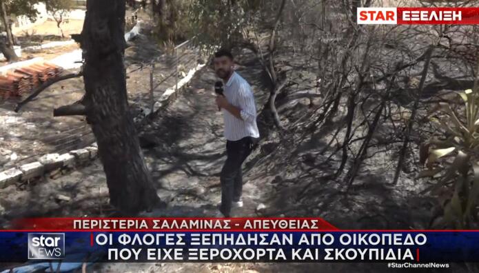 Σαλαμίνα φωτιά