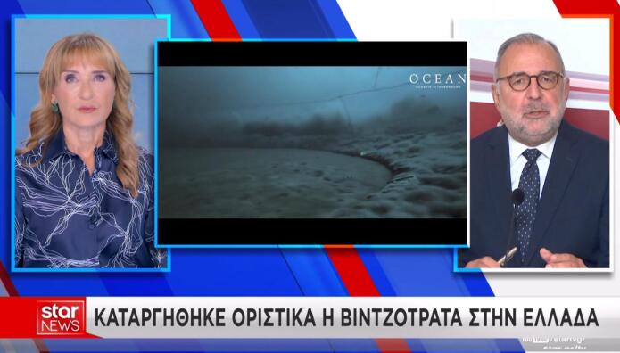 Βιντζότρατα
