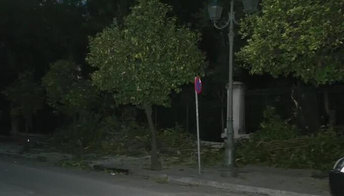 Έπεσε δέντρο στην Ηρώδου Αττικού