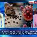 Καθησυχαστικοί οι επιστήμονες για τον χανταϊό στη χώρα μας