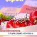 Κριθαράκι με Μπιφτέκια από τον Γιώργο Ρήγα